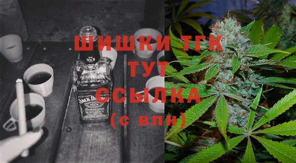 ECSTASY Алзамай