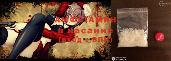 ECSTASY Алзамай