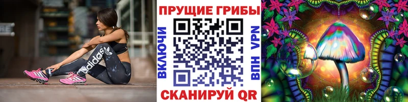 ОМГ ОМГ зеркало  Олонец  Галлюциногенные грибы Psilocybe 